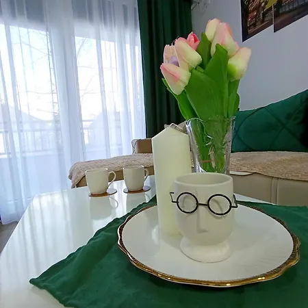 Msapartman * Vrnjačka Banja